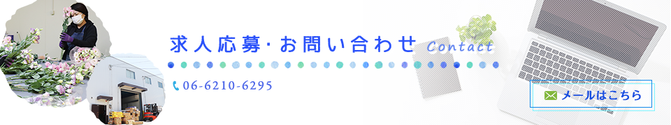 求人応募・お問い合わせ